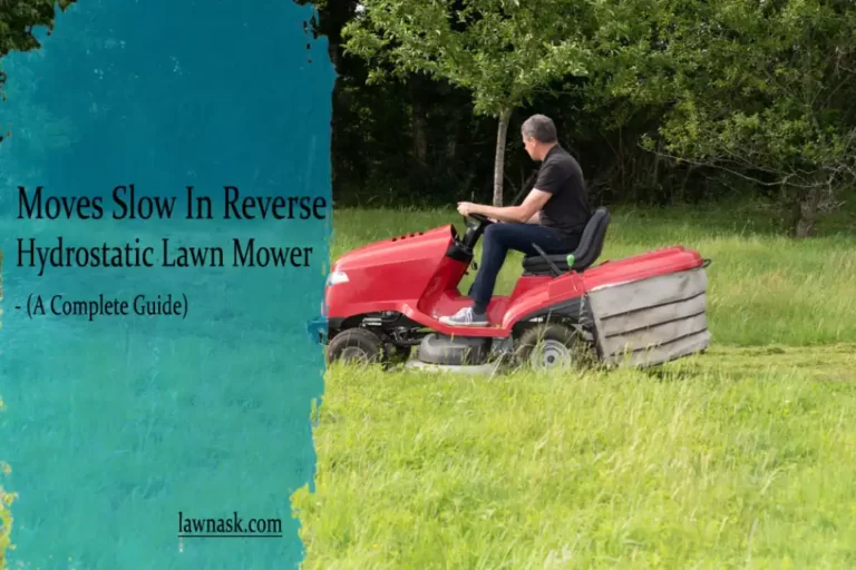 Hydrostatic Lawn Mower Moves Slow In Reverse (A Complete Guide)