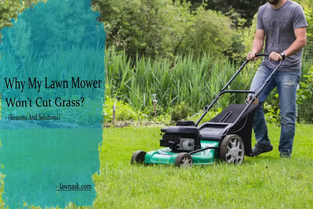 Why My Lawn Mower Won’t Cut Grass?