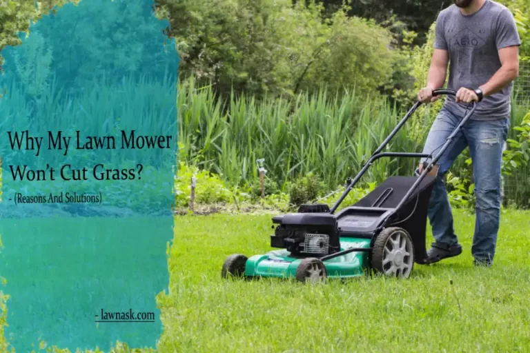 Why My Lawn Mower Won’t Cut Grass?- Reasons And Solutions