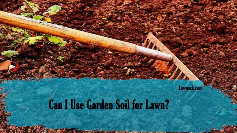 Can I Use Garden Soil for Lawn?