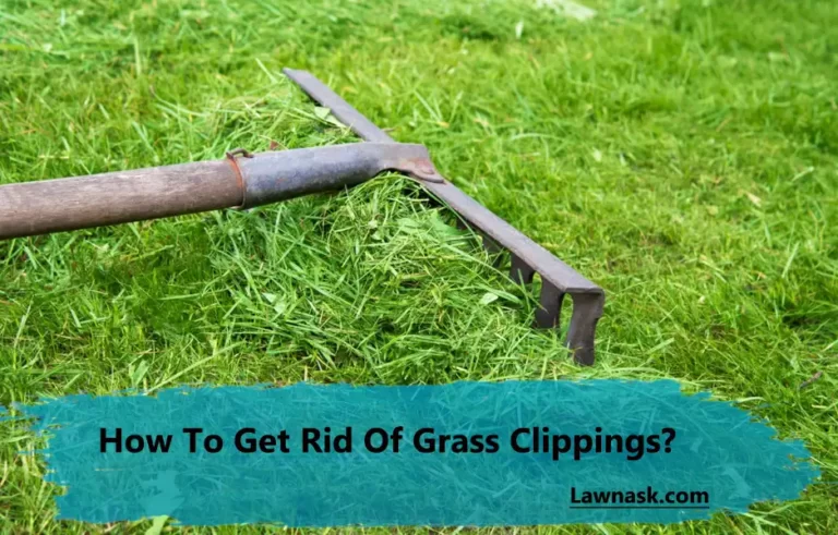 How To Get Rid Of Grass Clippings?
