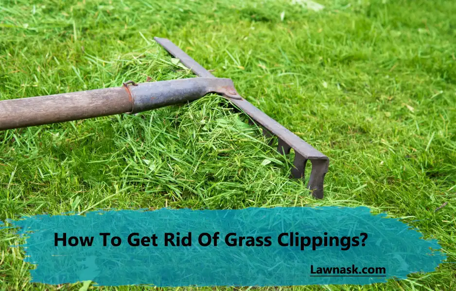 How To Get Rid Of Grass Clippings