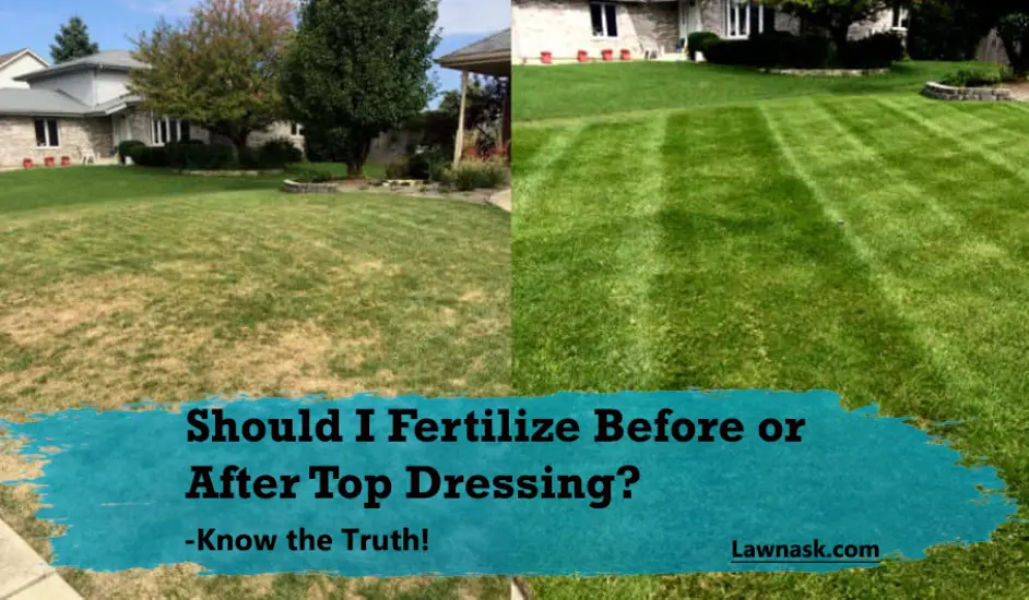 Should I Fertilize Before or After Top Dressing