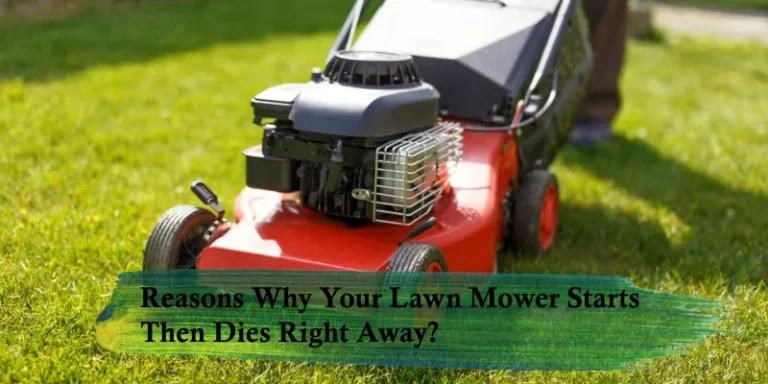 Lawn Mower Starts Then Dies Right Away: How to Fix?