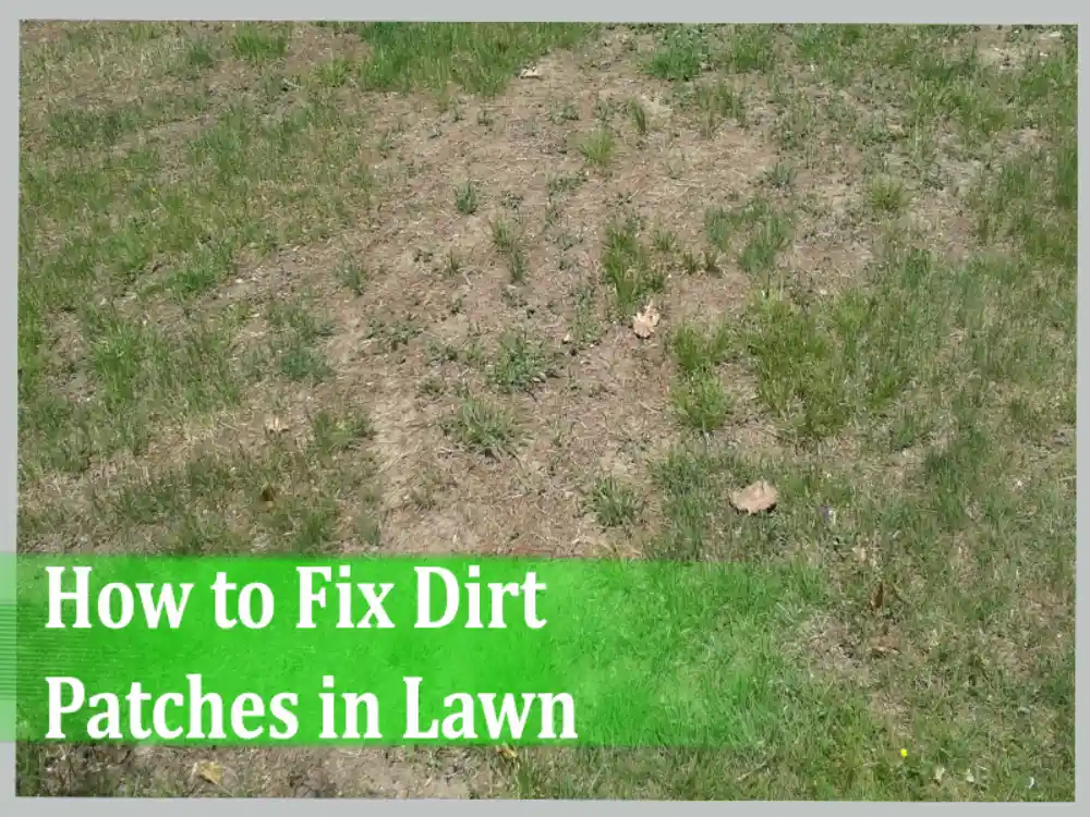 How to Fix Dirt Patches in Lawn