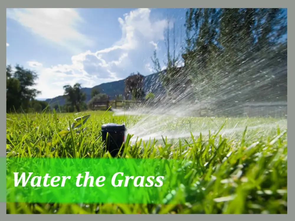 Water the Grass