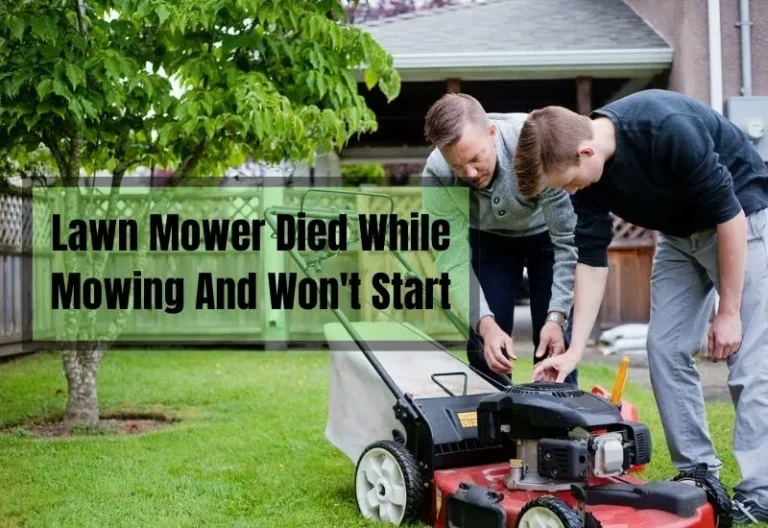 Lawn Mower Died While Mowing And Won’t Start: Causes And Fixes Explained!