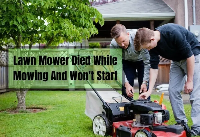 Lawn Mower Died While Mowing And Won't Start