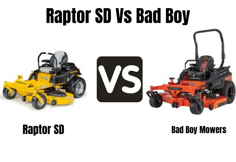 Raptor SD and Bad Boy