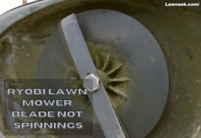 6 Reasons Why Ryobi Lawn Mower Blade Not Spinning