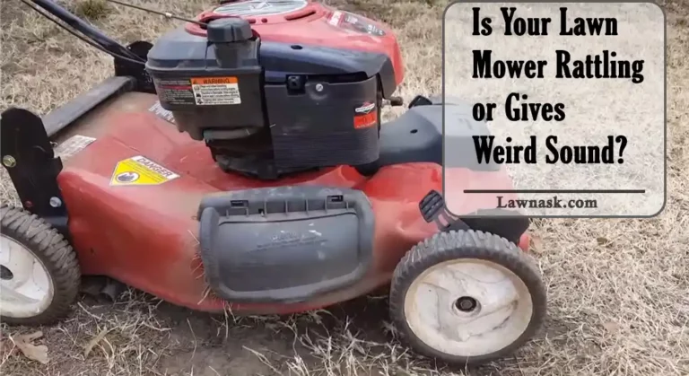 Is Your Lawn Mower Rattling or Sound Weird? Check The Fixes Here