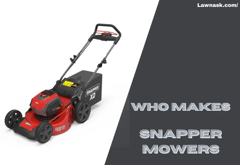 Who Makes Snapper Mowers: Details Brand Information - LawnAsk