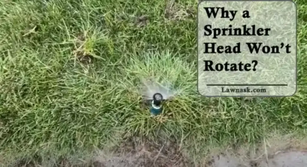 Why a Sprinkler Head Won’t Rotate