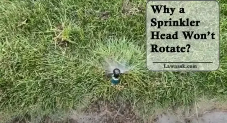 Why a Sprinkler Head Won’t Rotate? (A Perfect Guide)