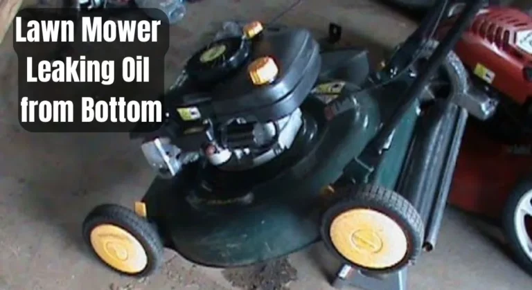 Lawn Mower Leaking Oil from Bottom