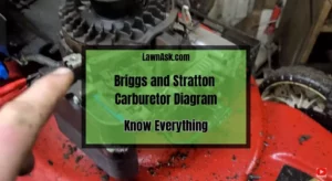 Briggs and Stratton Carburetor Diagram