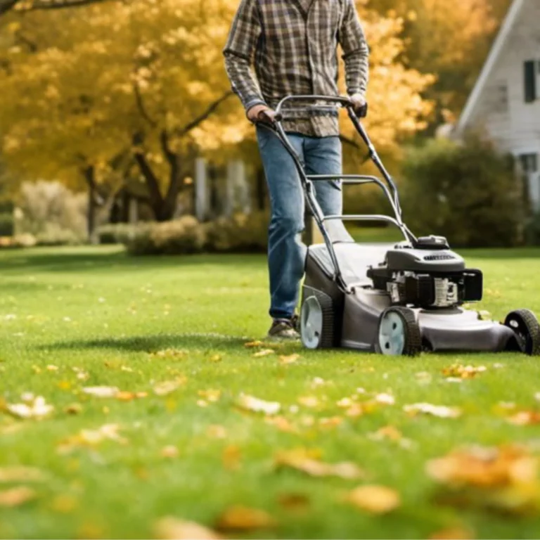 What Month Should You Stop Cutting Grass?