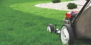 When To Stop Mowing Your Lawn