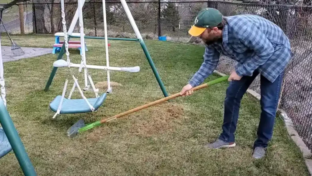 You-Dethatched-a-Dormant-Lawn