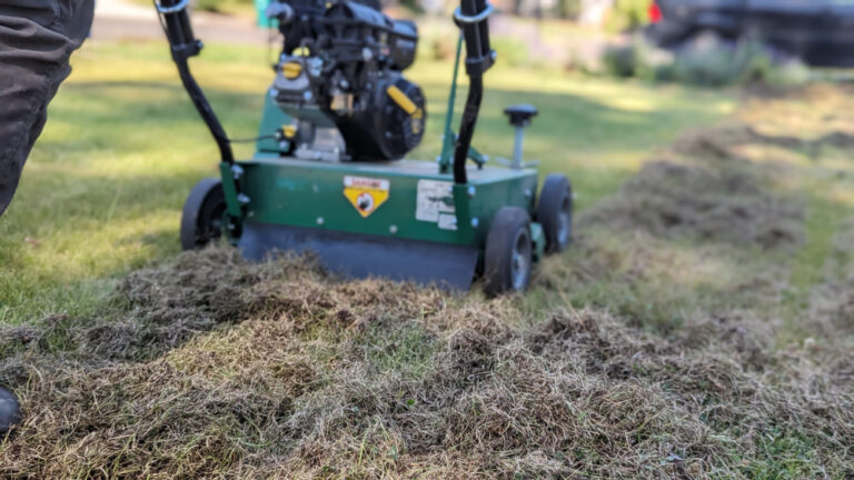 dethatching lawn with mower