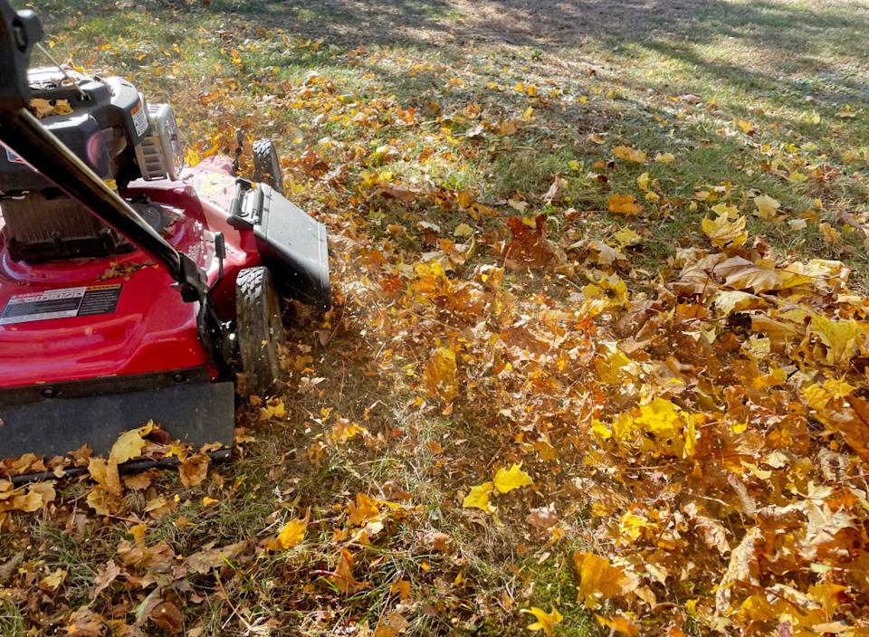 mulching leaves with mower