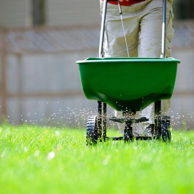 how long after overseeding can i mow
