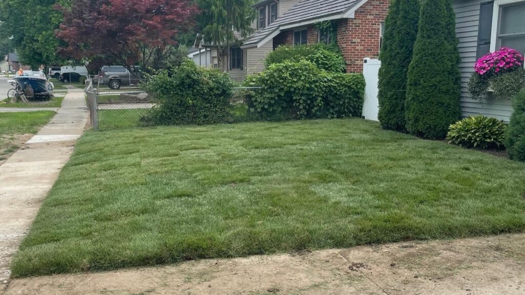good time to mow the lawn