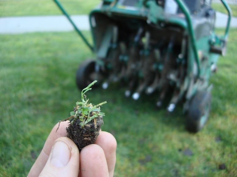 lawn aeration before and after