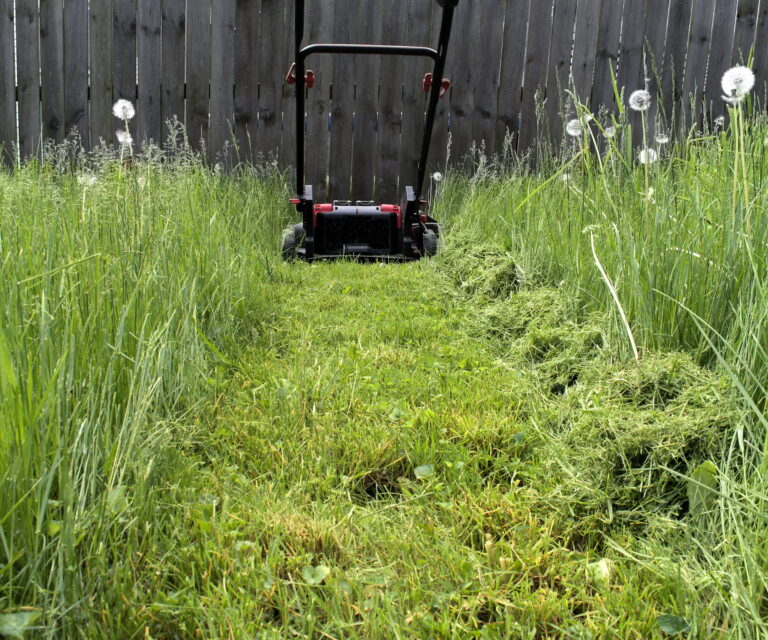 cost to mow 1 lot of high grass
