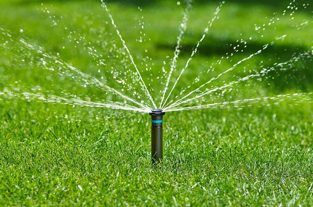 Common Lawn Watering Mistakes That Damage Grass