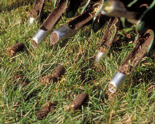 lawn aeration before and after