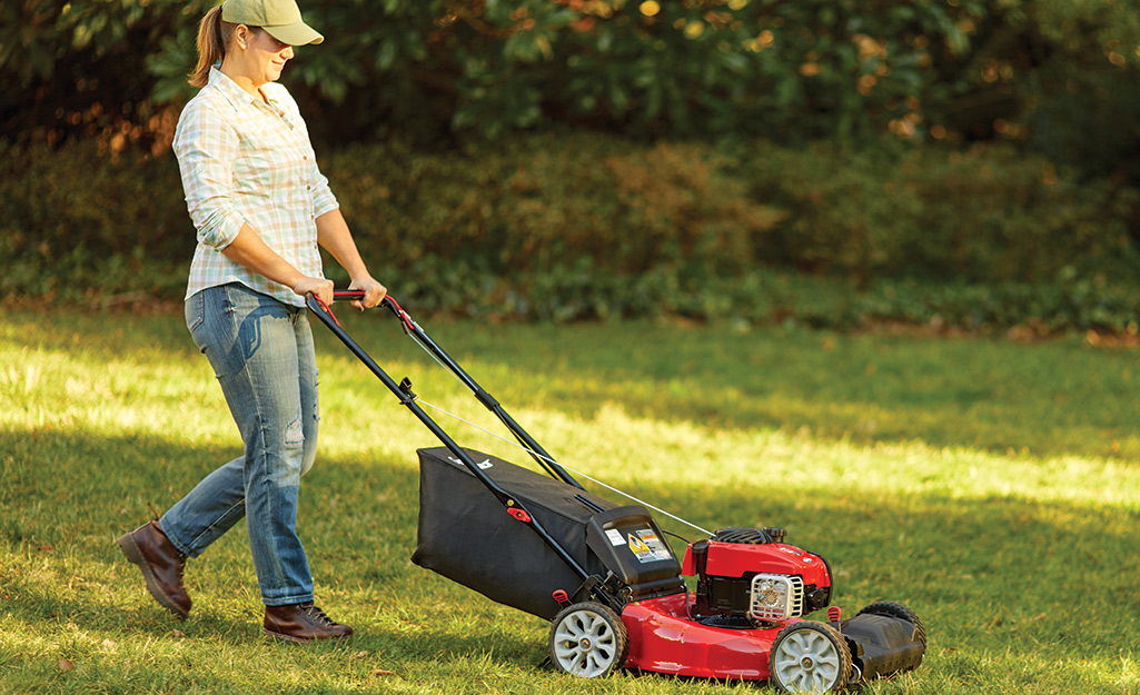 lawn mower tune up cost
