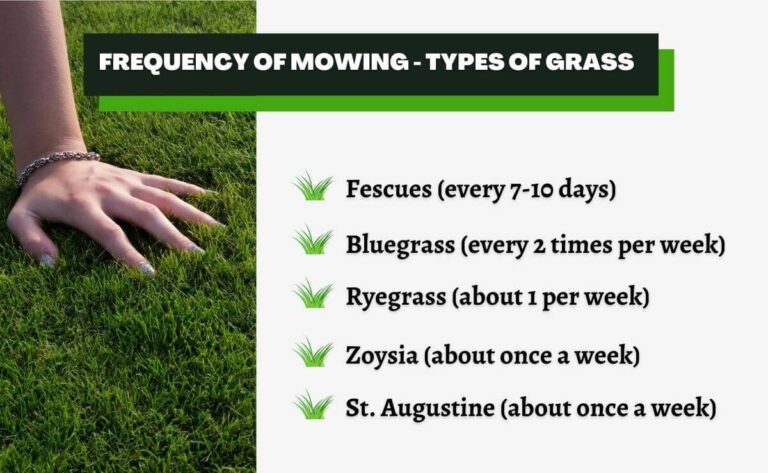 how often to mow lawn