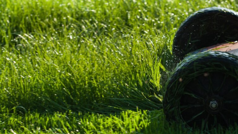 is it okay to mow the grass when wet