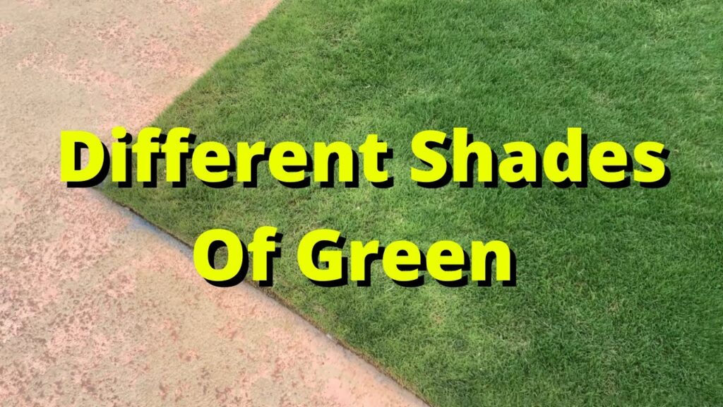 why is my lawn different shades of green